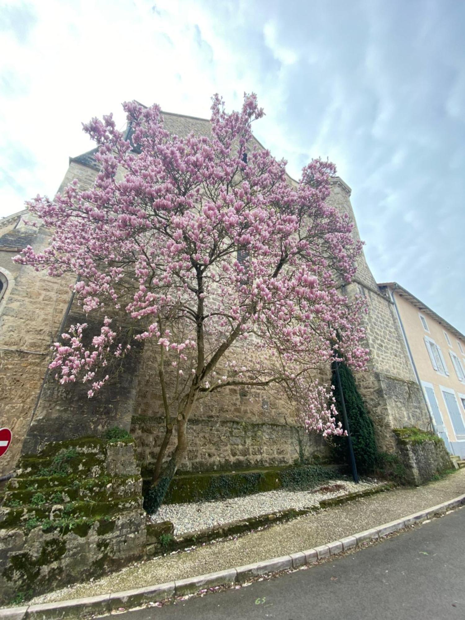 Logis Hotel Le Saint Georges Vivonne エクステリア 写真
